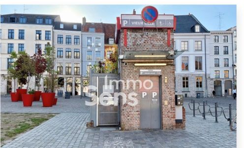 Vente garage-parking T0  Lille  Réf.DGVPA1020011507